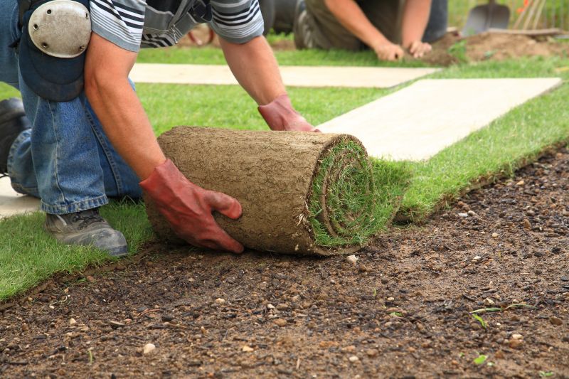 Cost of Sod Removal — Cost of Sod Removal