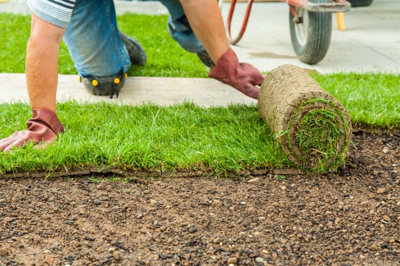 Cost of Sod Removal — Cost of Sod Removal