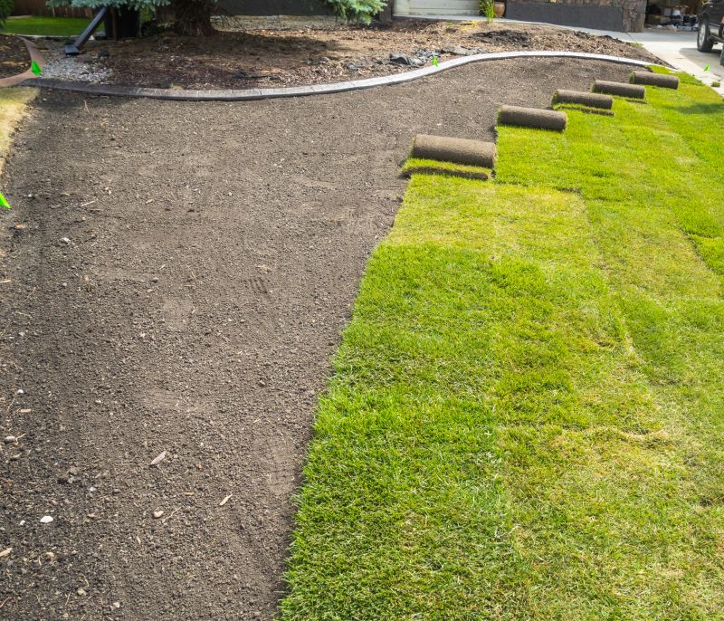 Sod Removal