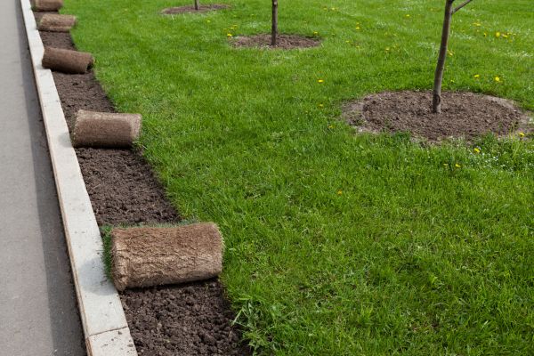 Sod Repair Service